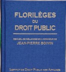 20 ans de contentieux administratif des contrats publics in : Florilèges du droit public